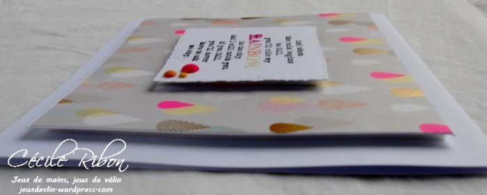 Carte JUGS405 - DSCN1796