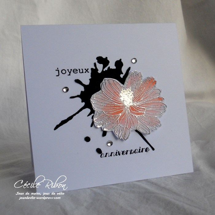 Carte JUGS406 - DSCN1907