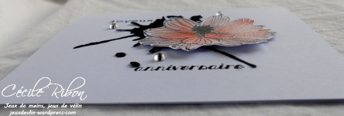 Carte JUGS406 - DSCN1916