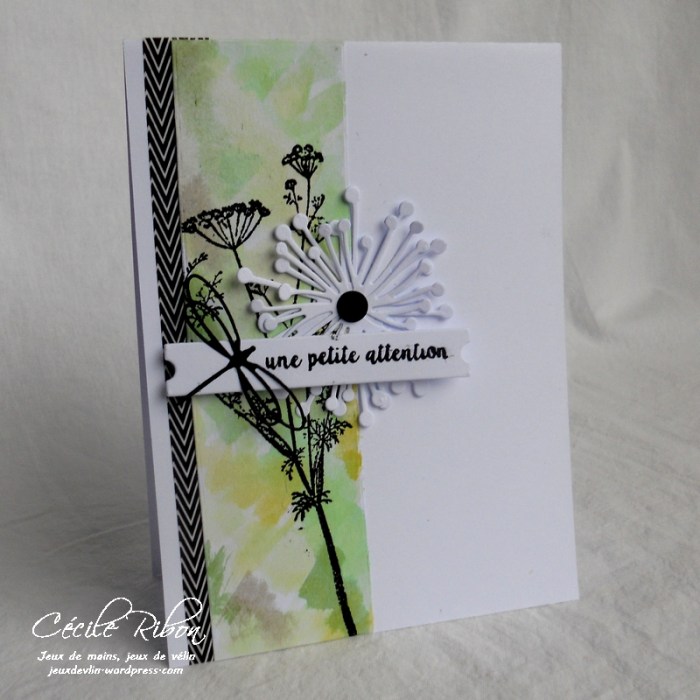 Carte LittleScrap28 - DSCN1860