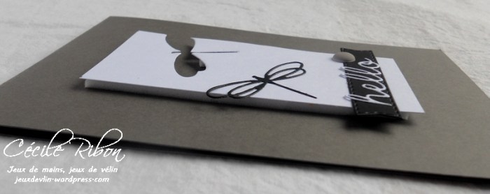 Carte LittleScrap29 - DSCN1876