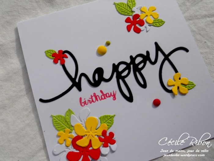 Carte CTD458 - DSCN2473