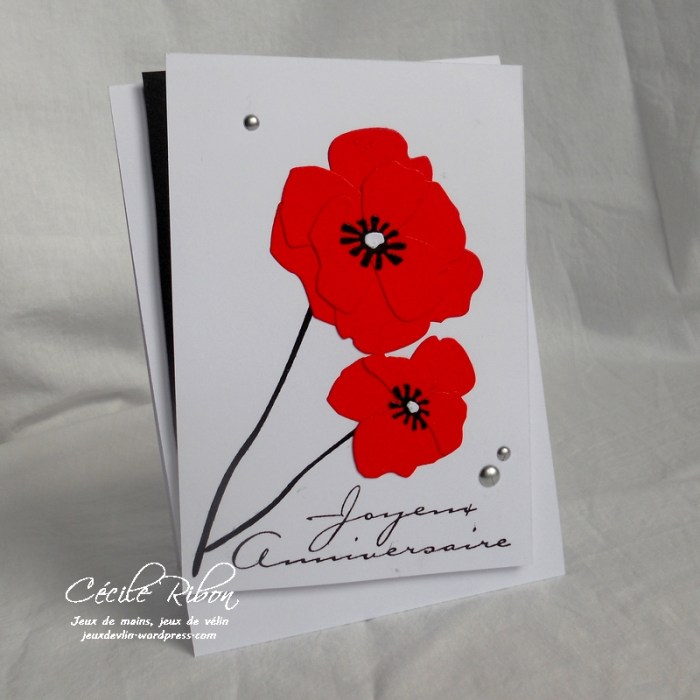 Carte CTD459 - DSCN2587