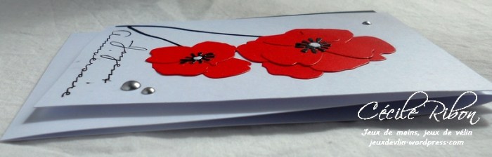 Carte CTD459 - DSCN2593