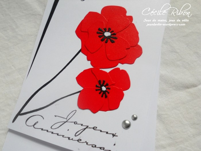 Carte CTD459 - DSCN2596