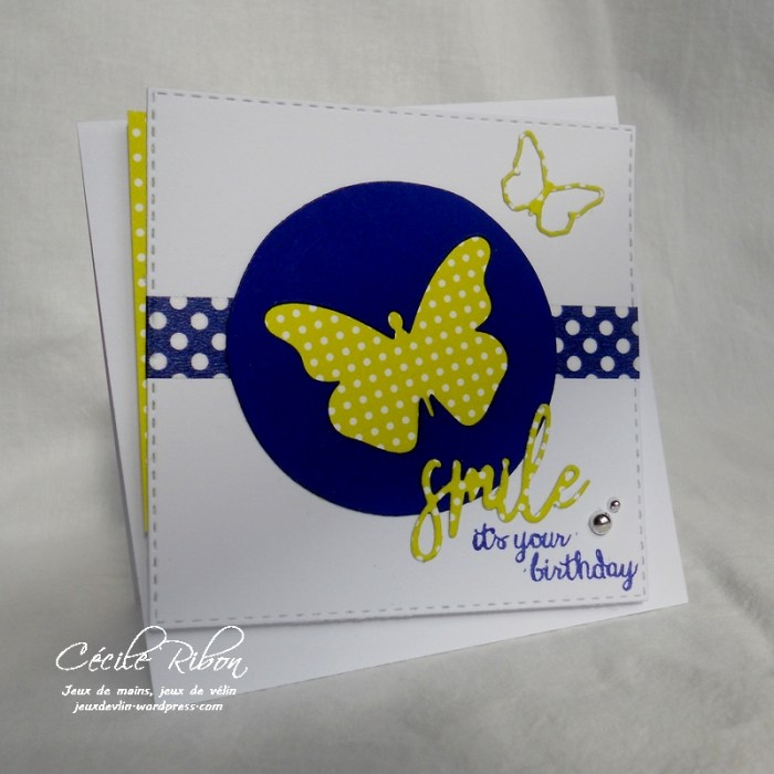 Carte CTD460 - DSCN2677