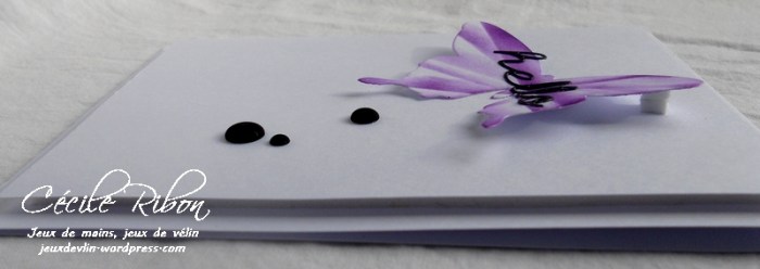 Carte CTS237 - DSCN2480