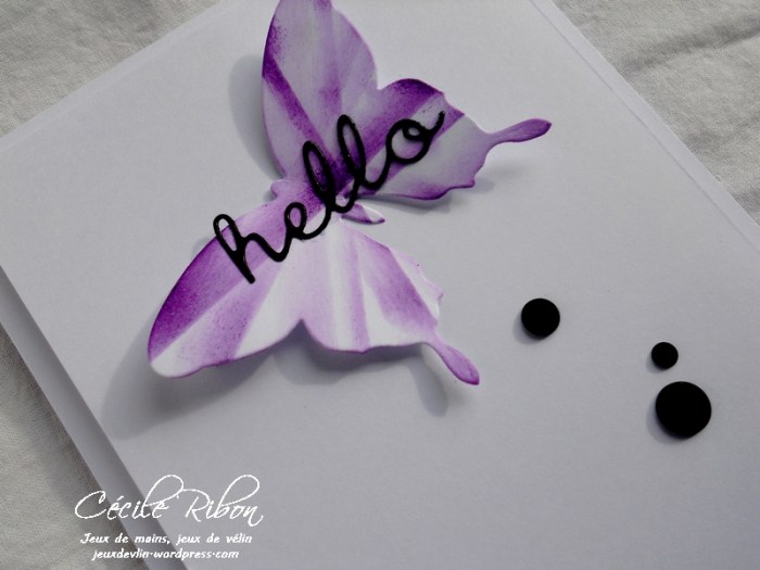 Carte CTS237 - DSCN2484