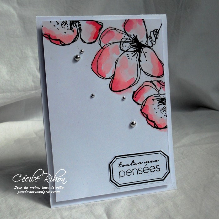 Carte CTS238 - DSCN2599