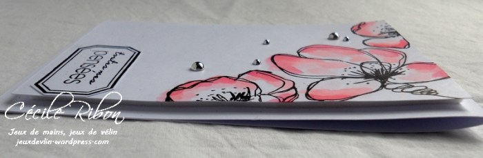 Carte CTS238 - DSCN2604