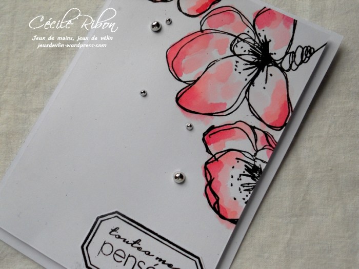 Carte CTS238 - DSCN2609