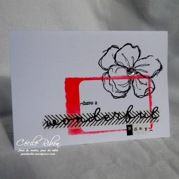 Carte CTS239 - DSCN2691