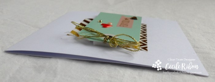 Carte FMS305 - DSCN2617