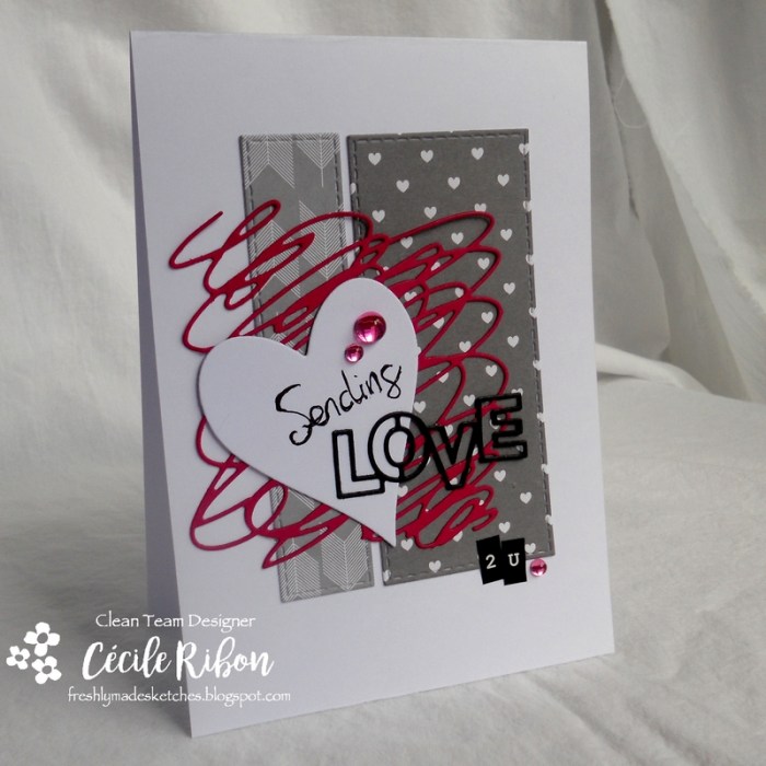 Carte FMS306 - DSCN2719