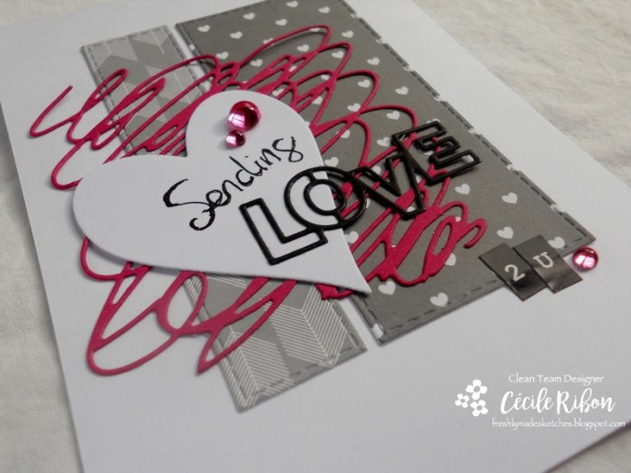 Carte FMS306 - DSCN2728