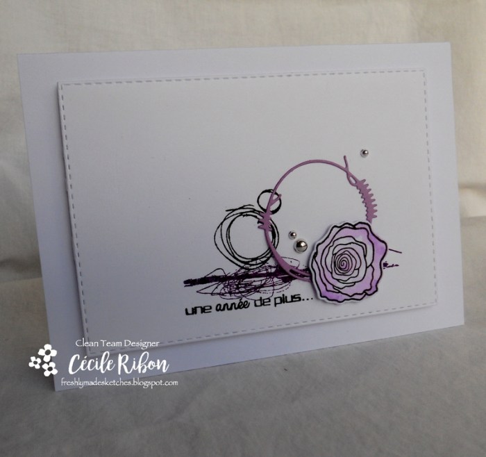 Carte FMS307 - DSCN2837