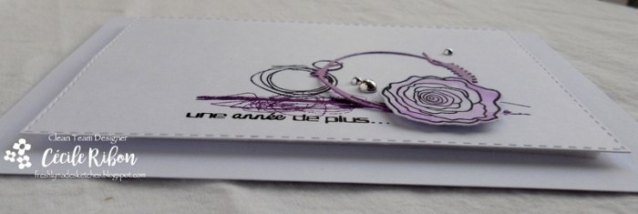 Carte FMS307 - DSCN2839