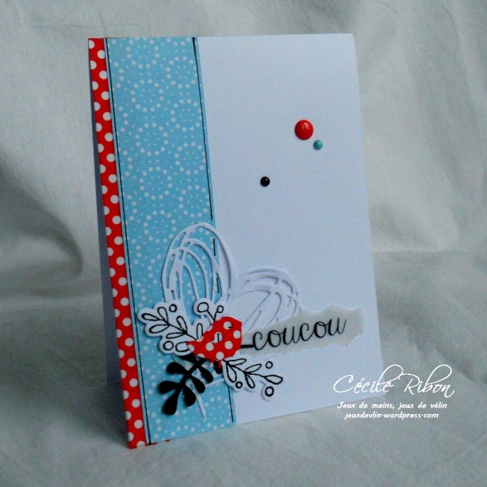 Carte Fusion23 - DSCN2574