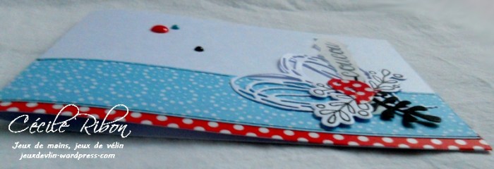 Carte Fusion23 - DSCN2576