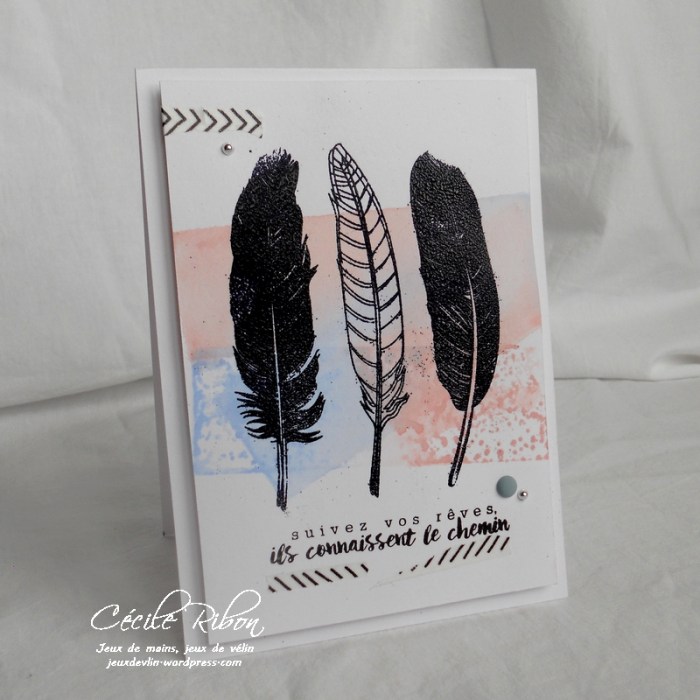 Carte JUGS410 - DSCN2624