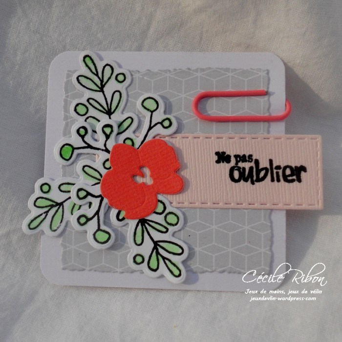 Carte LittleScrap46 - DSCN2260