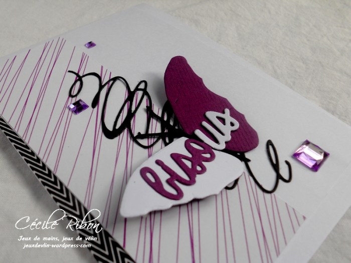 Carte PCC501 - DSCN2712