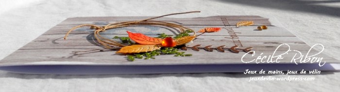 Carte 4enScrap0402 - DSCN3209