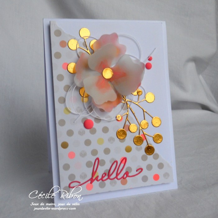 Carte AID20 - DSCN3130