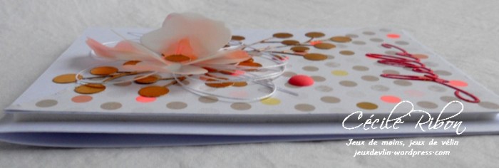 Carte AID20 - DSCN3131