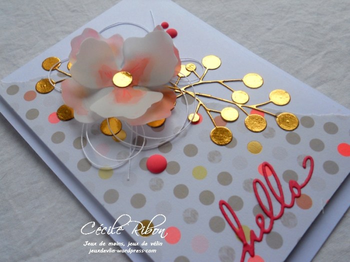 Carte AID20 - DSCN3136