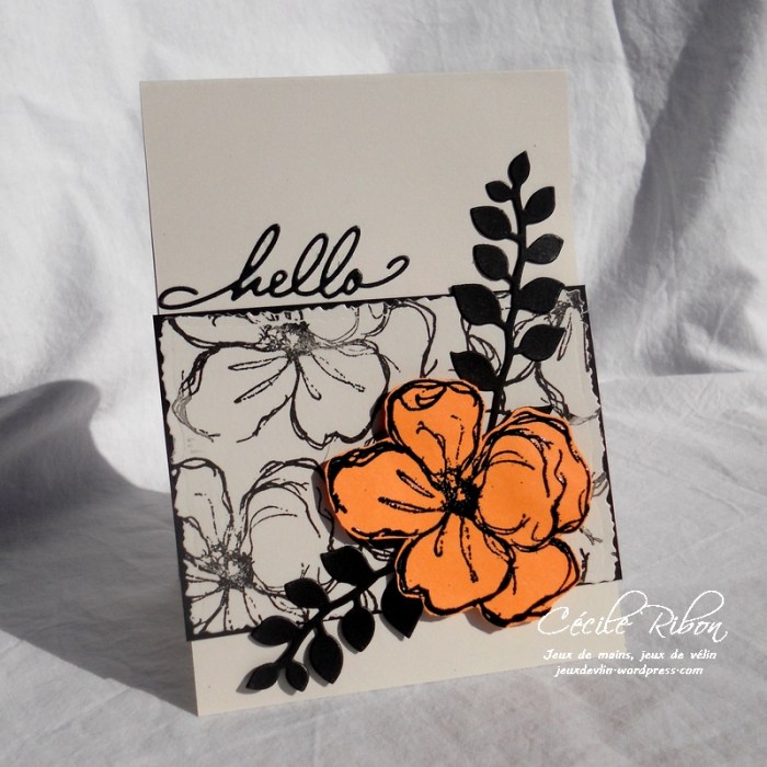 Carte CTD464 - DSCN3215