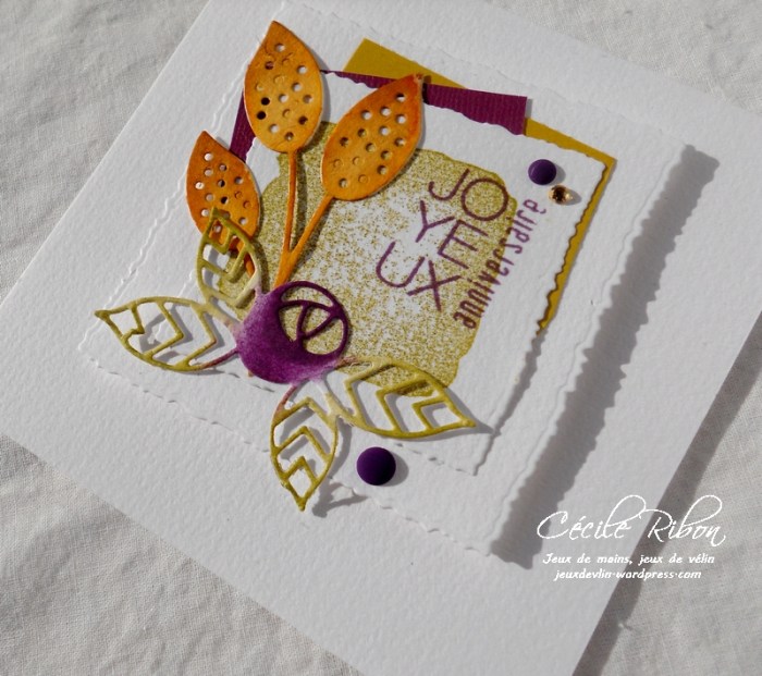 Carte CTD466 - DSCN3439