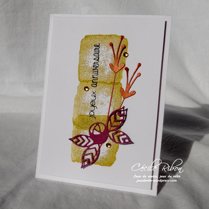 Carte CTD466 - DSCN3444