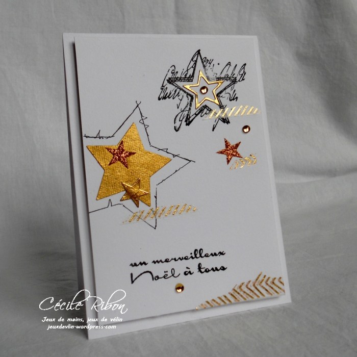 Carte CTS245 - DSCN3504