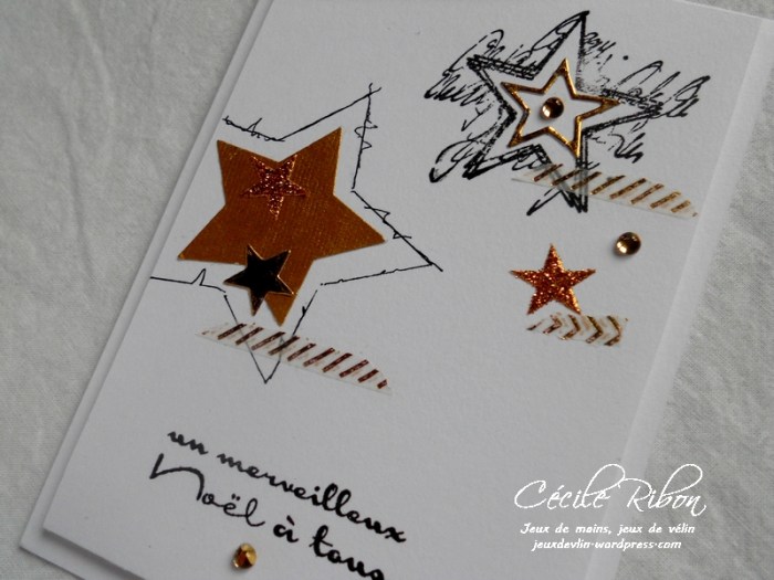 Carte CTS245 - DSCN3510