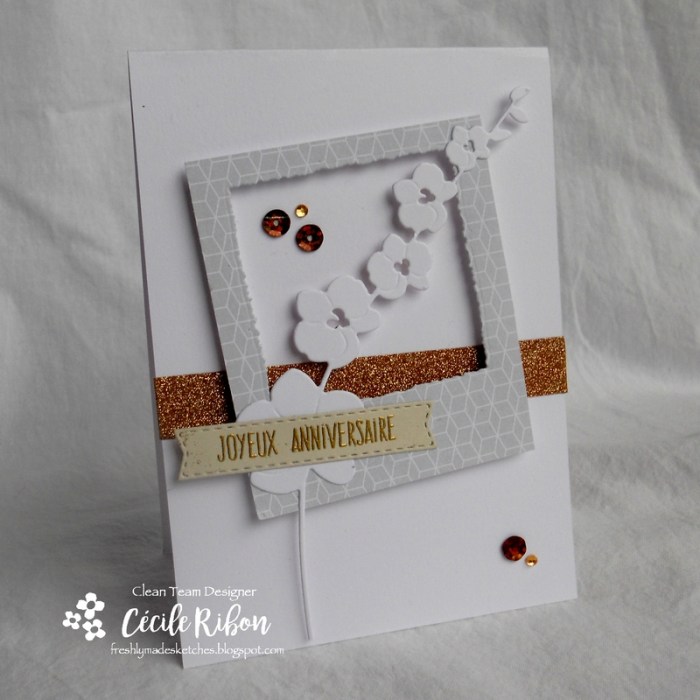 Carte FMS308 - DSCN2962