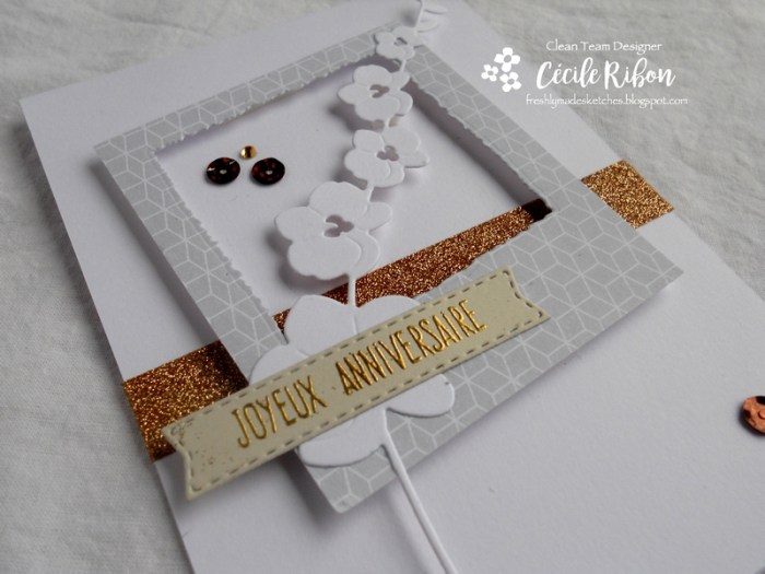 Carte FMS308 - DSCN2971