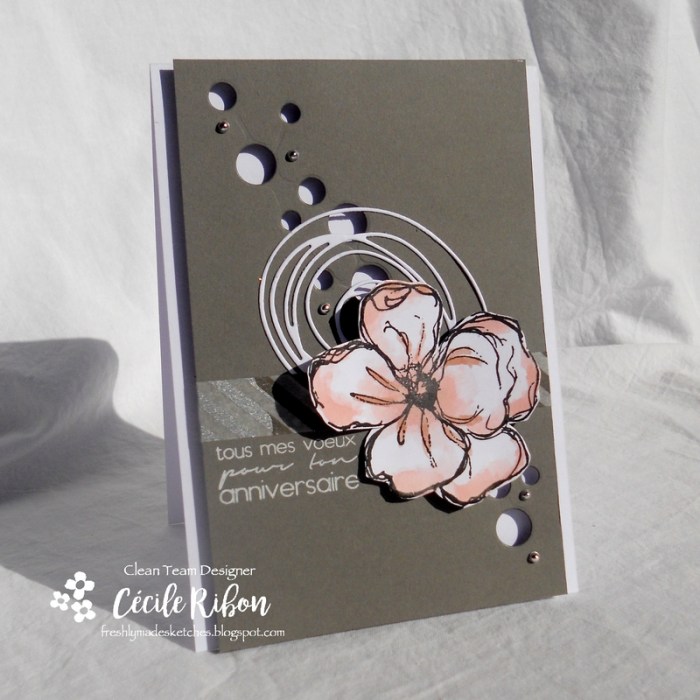 Carte FMS309 - DSCN3242