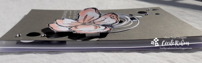 Carte FMS309 - DSCN3247