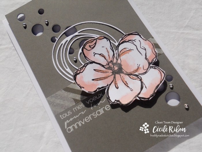 Carte FMS309 - DSCN3248