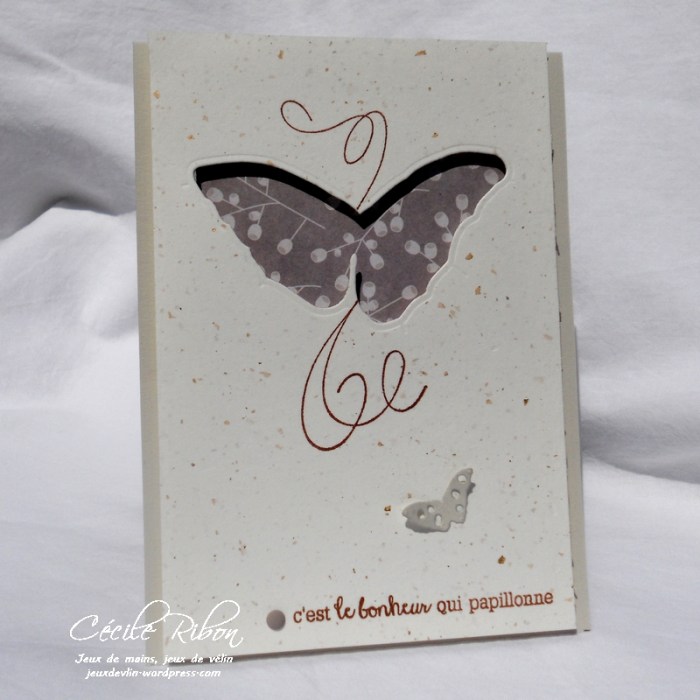 Carte LittleScrap36 - DSCN2037