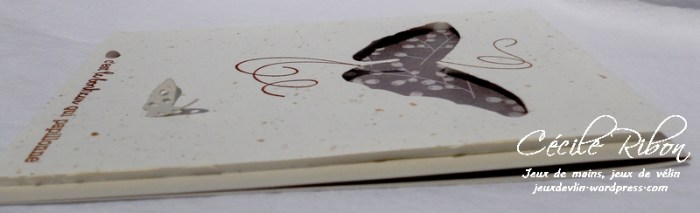 Carte LittleScrap36 - DSCN2038