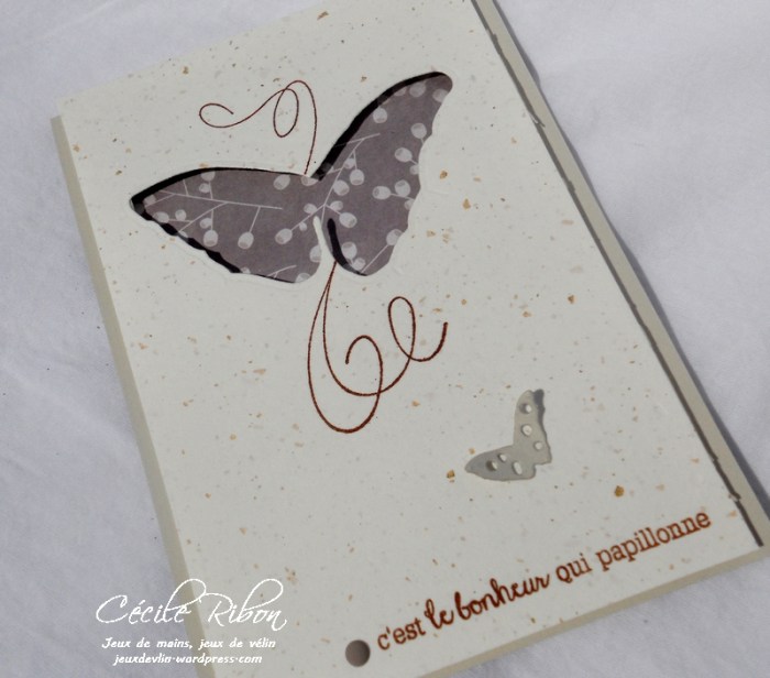 Carte LittleScrap36 - DSCN2043