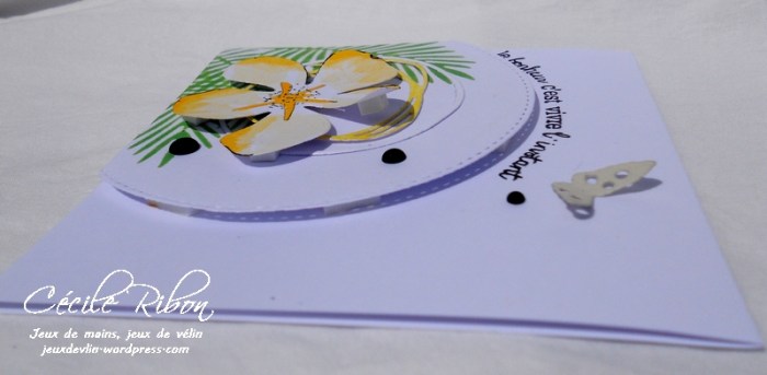 Carte LittleScrap37 - DSCN2050