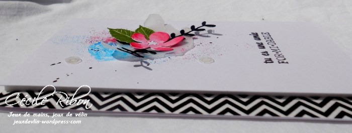 Carte LittleScrap40 - DSCN2125