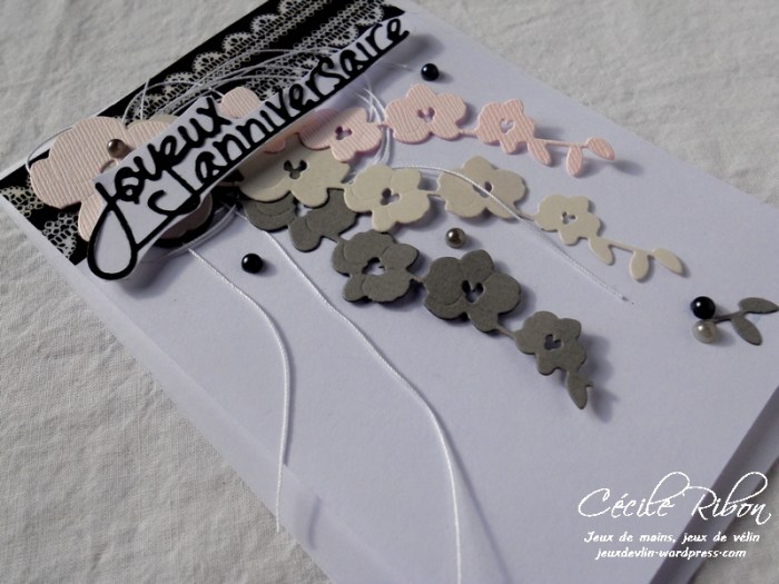 Carte Maniak164 - DSCN3408