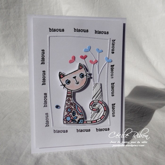 Carte AID21 - DSCN3460