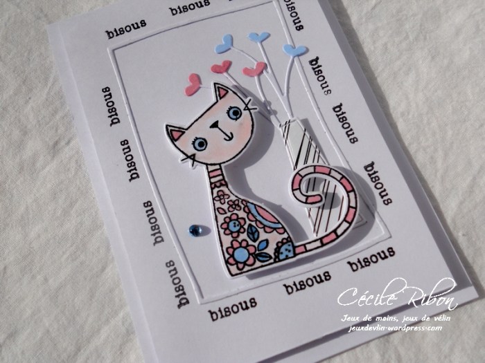 Carte AID21 - DSCN3465