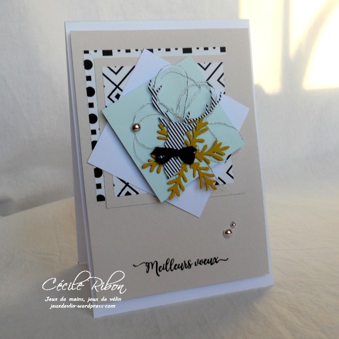 Carte Creablabla333 - DSCN3730