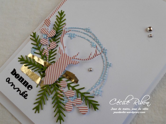 Carte CTD467 - DSCN3750